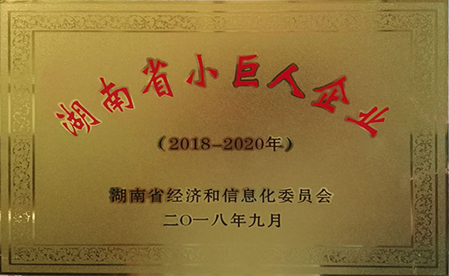 湖南省小巨人企业
