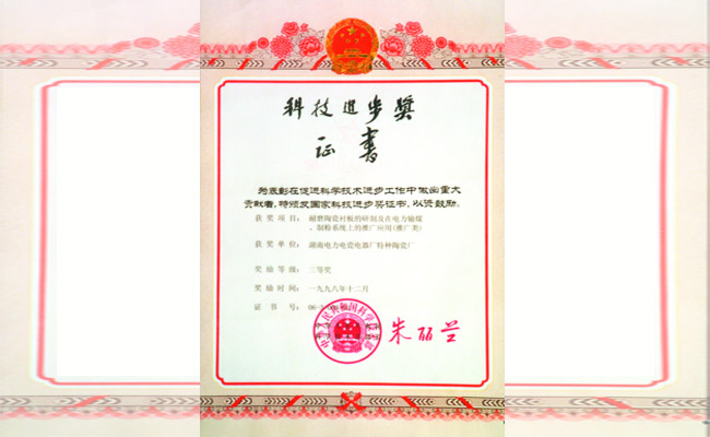 科学技术进步奖三等奖