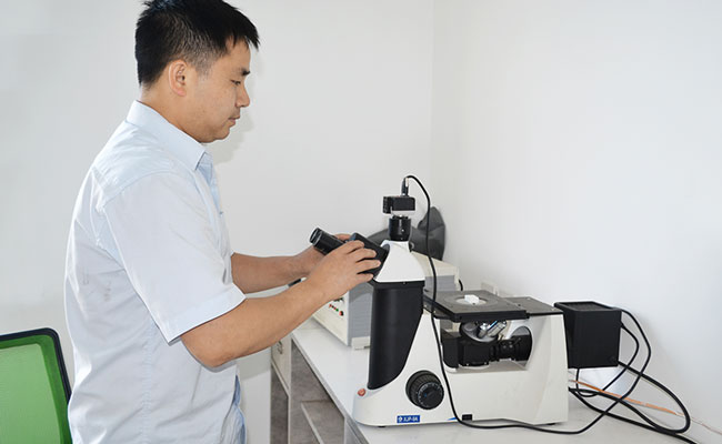微观结构分析